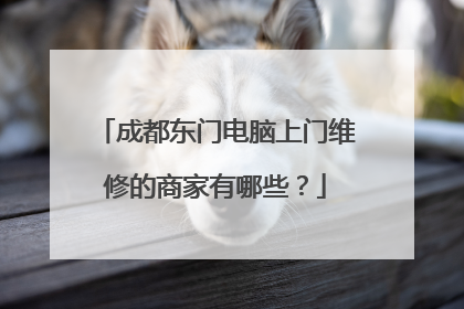 成都东门电脑上门维修的商家有哪些?