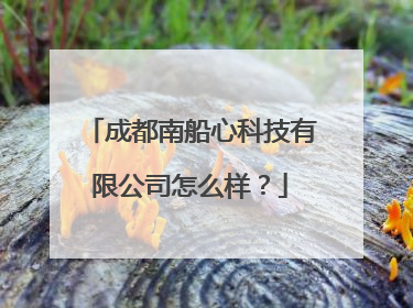 成都南船心科技有限公司怎么样？