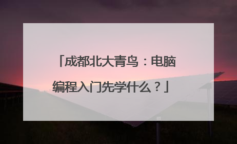 成都北大青鸟：电脑编程入门先学什么？