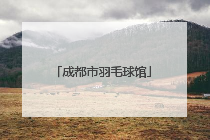 成都市羽毛球馆