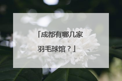 成都有哪几家羽毛球馆？