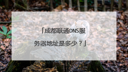 成都联通DNS服务器地址是多少？