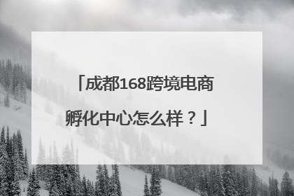成都168跨境电商孵化中心怎么样？