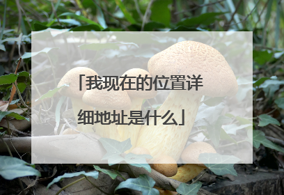 我现在的位置详细地址是什么