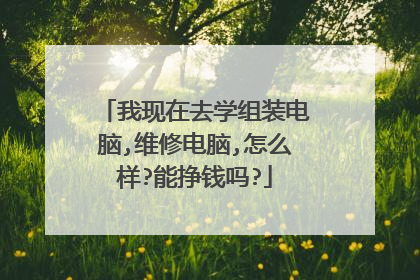 我现在去学组装电脑,维修电脑,怎么样?能挣钱吗?