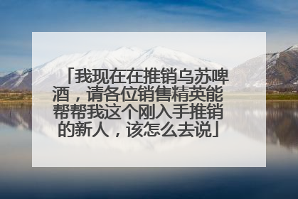 我现在在推销乌苏啤酒，请各位销售精英能帮帮我这个刚入手推销的新人，该怎么去说