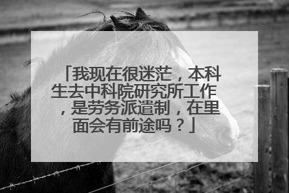 我现在很迷茫,本科生去中科院研究所工作,是劳务派遣制,在里面会有前途吗?
