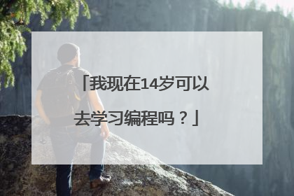 我现在14岁可以去学习编程吗？