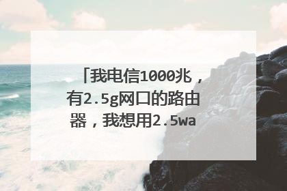 我电信1000兆,有2.5g网口的路由器,我想用2.5wan口,请问怎么搭建