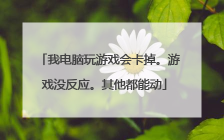 我电脑玩游戏会卡掉。游戏没反应。其他都能动