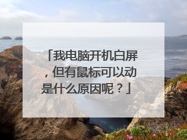 我电脑开机白屏，但有鼠标可以动是什么原因呢？