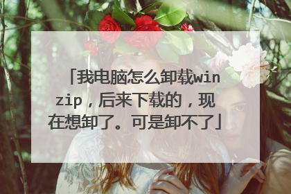 我电脑怎么卸载winzip,后来下载的,现在想卸了。可是卸不了