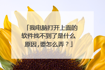 我电脑打开上面的软件找不到了是什么原因,要怎么弄？