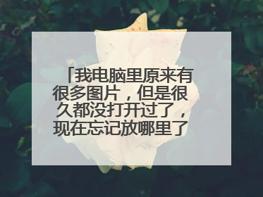 我电脑里原来有很多图片，但是很久都没打开过了，现在忘记放哪里了，怎么查看电脑里所有的图片呢