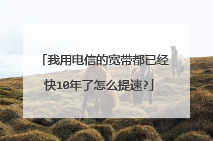 我用电信的宽带都已经快10年了怎么提速?