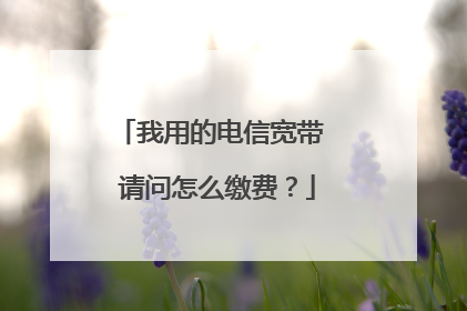 我用的电信宽带 请问怎么缴费?