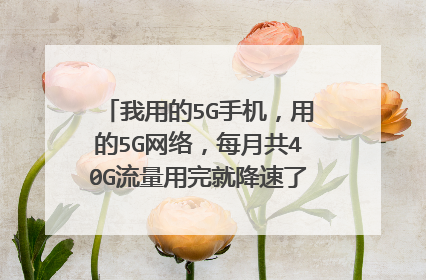 我用的5G手机,用的5G网络,每月共40G流量用完就降速了。我这情况适合玩抖音短视频吗?