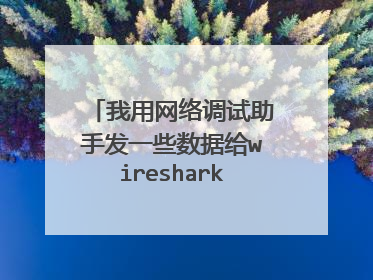 我用网络调试助手发一些数据给wireshark，为什么抓不到