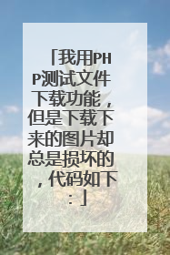 我用PHP测试文件下载功能,但是下载下来的图片却总是损坏的,代码如下:
