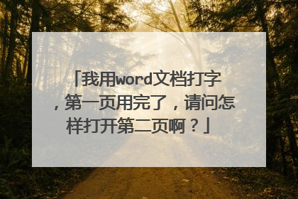 我用word文档打字，第一页用完了，请问怎样打开第二页啊？