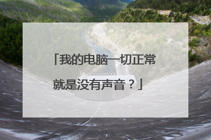 我的电脑一切正常就是没有声音?