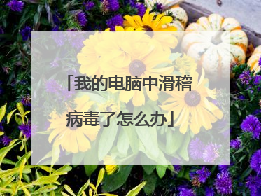 我的电脑中滑稽病毒了怎么办