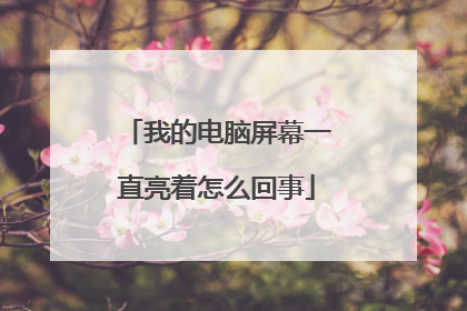 我的电脑屏幕一直亮着怎么回事