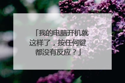 我的电脑开机就这样了,按任何键都没有反应?