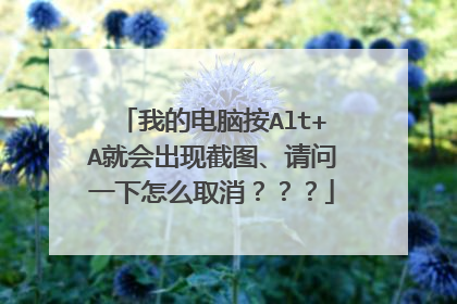我的电脑按Alt+A就会出现截图、请问一下怎么取消???