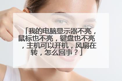 我的电脑显示器不亮,鼠标也不亮,键盘也不亮,主机可以开机,风扇在转,怎么回事?