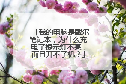 我的电脑是戴尔笔记本,为什么充电了提示灯不亮,而且开不了机?