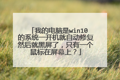 我的电脑是win10的系统一开机就自动修复然后就黑屏了，只有一个鼠标在屏幕上？
