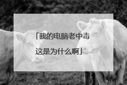 我的电脑老中毒这是为什么啊