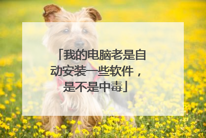 我的电脑老是自动安装一些软件,是不是中毒