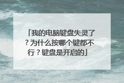 我的电脑键盘失灵了?为什么按哪个键都不行?键盘是开启的