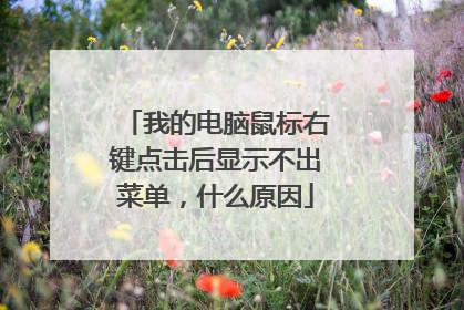 我的电脑鼠标右键点击后显示不出菜单,什么原因