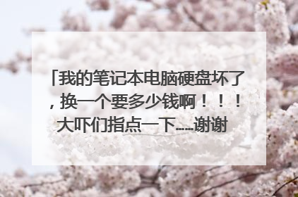 我的笔记本电脑硬盘坏了,换一个要多少钱啊!!! 大吓们指点一下……谢谢 要个250g的