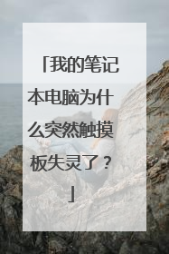 我的笔记本电脑为什么突然触摸板失灵了?
