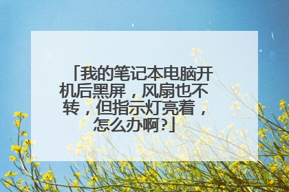 我的笔记本电脑开机后黑屏，风扇也不转，但指示灯亮着，怎么办啊?