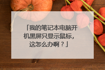 我的笔记本电脑开机黑屏只显示鼠标,这怎么办啊?