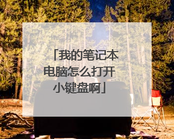 我的笔记本电脑怎么打开小键盘啊