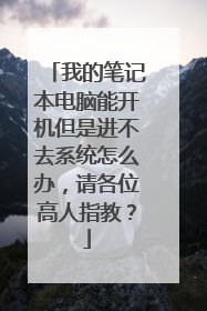 我的笔记本电脑能开机但是进不去系统怎么办,请各位高人指教?