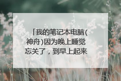 我的笔记本电脑(神舟)因为晚上睡觉忘关了，到早上起来开机就没反应了，请问这是什么问题？