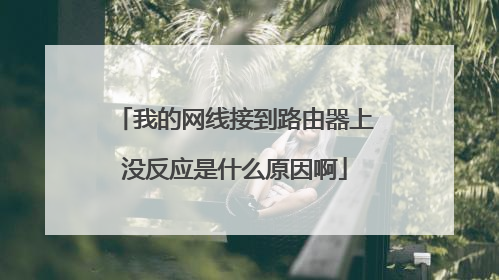 我的网线接到路由器上没反应是什么原因啊