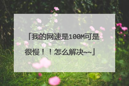 我的网速是100M可是很慢!!怎么解决~~