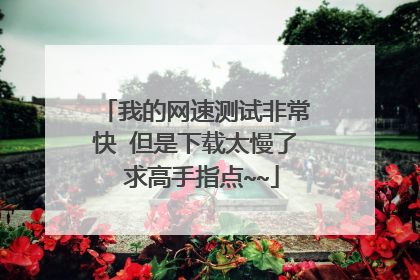 我的网速测试非常快 但是下载太慢了 求高手指点~~