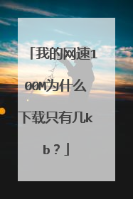 我的网速100M为什么下载只有几kb？