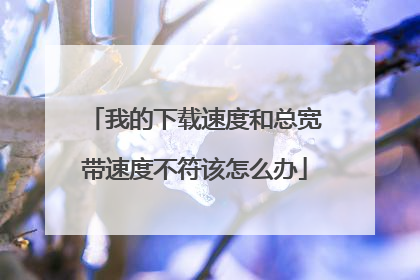 我的下载速度和总宽带速度不符该怎么办