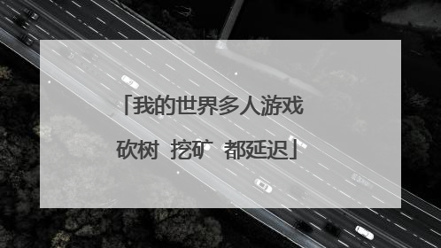 我的世界多人游戏 砍树 挖矿 都延迟
