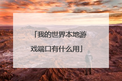 我的世界本地游戏端口有什么用